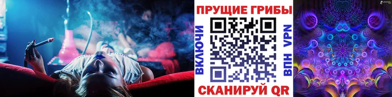 Купить где  Ревда  Галлюциногенные грибы ЛСД 